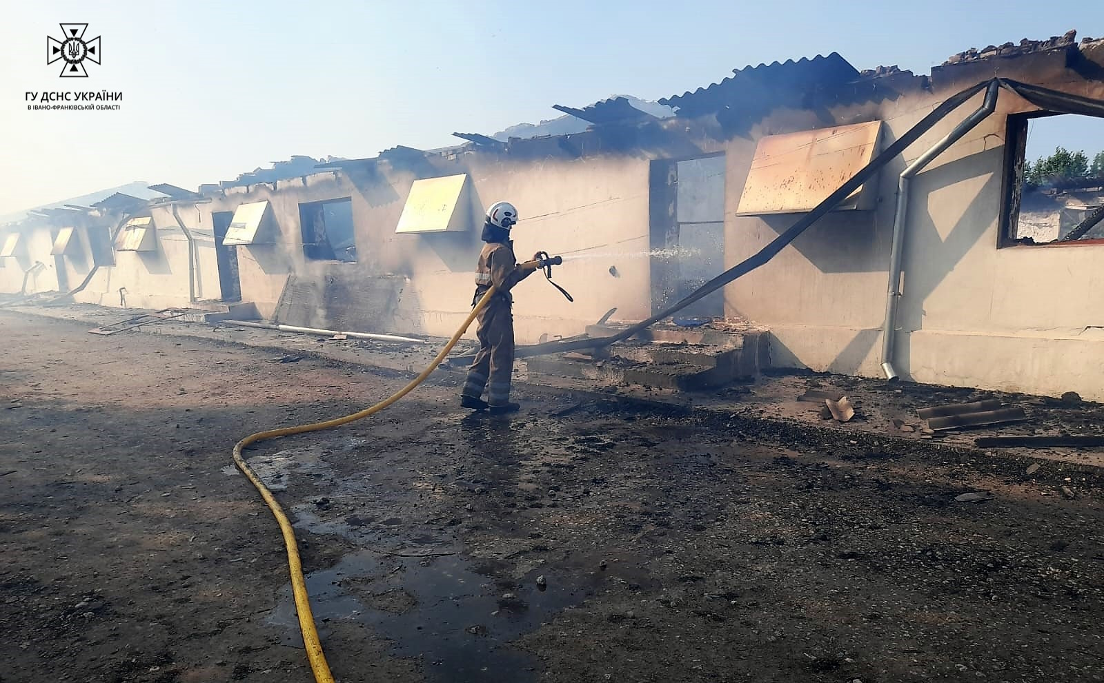 На Городенківщині у пожежі на птахофермі загинули 25 тисяч курчат (ФОТО)