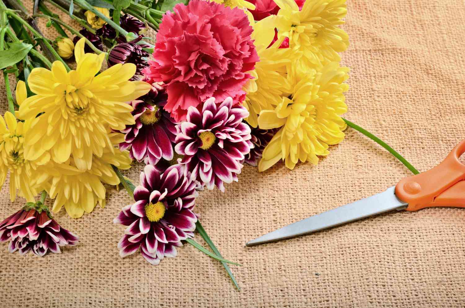 500 грн за квітку: виконком придбав зрізані рослини