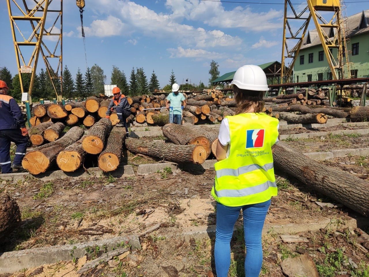 Агенти УЕБ проконтролювали передачу необробленої деревини покупцеві на Івано-Франківщині