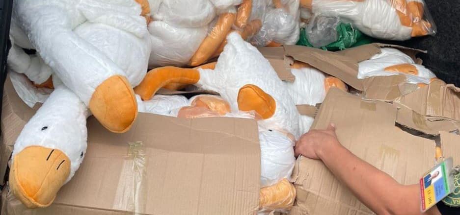 Прикарпатець намагався незаконно перевезти через кордон понад 1500 іграшкових гусок нібито для дитячих будинків (ФОТО)