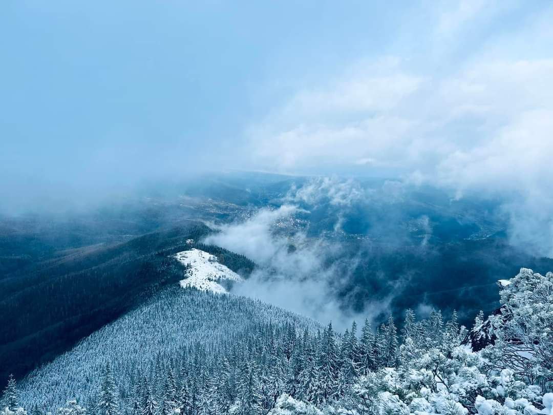 Казкові пейзажі засніжених гір Прикарпаття показали у мережі (ФОТО)