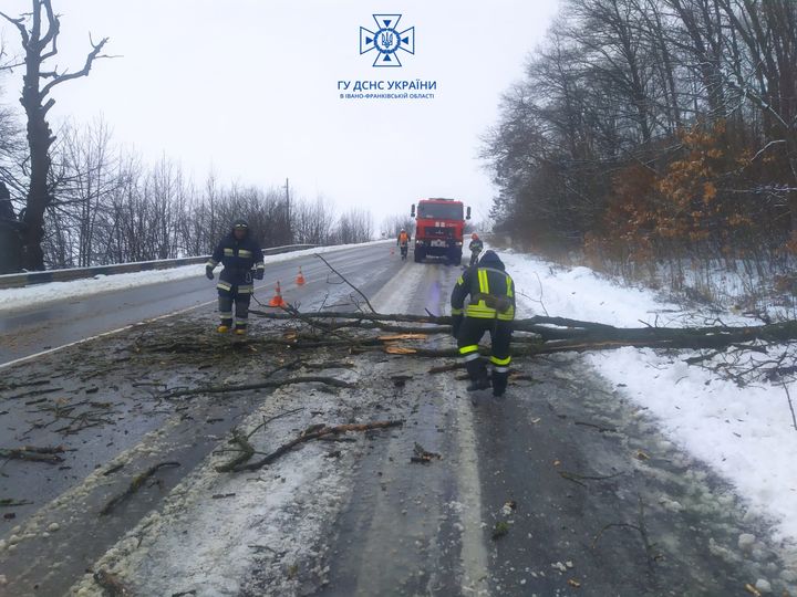 Прикарпатські рятувальники розчистили дорогу від поваленого негодою дерева (ФОТОФАКТ)