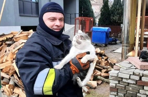 На Коломийщині рятувальники вивільнили кота з отвору бетонної плити (ФОТО)