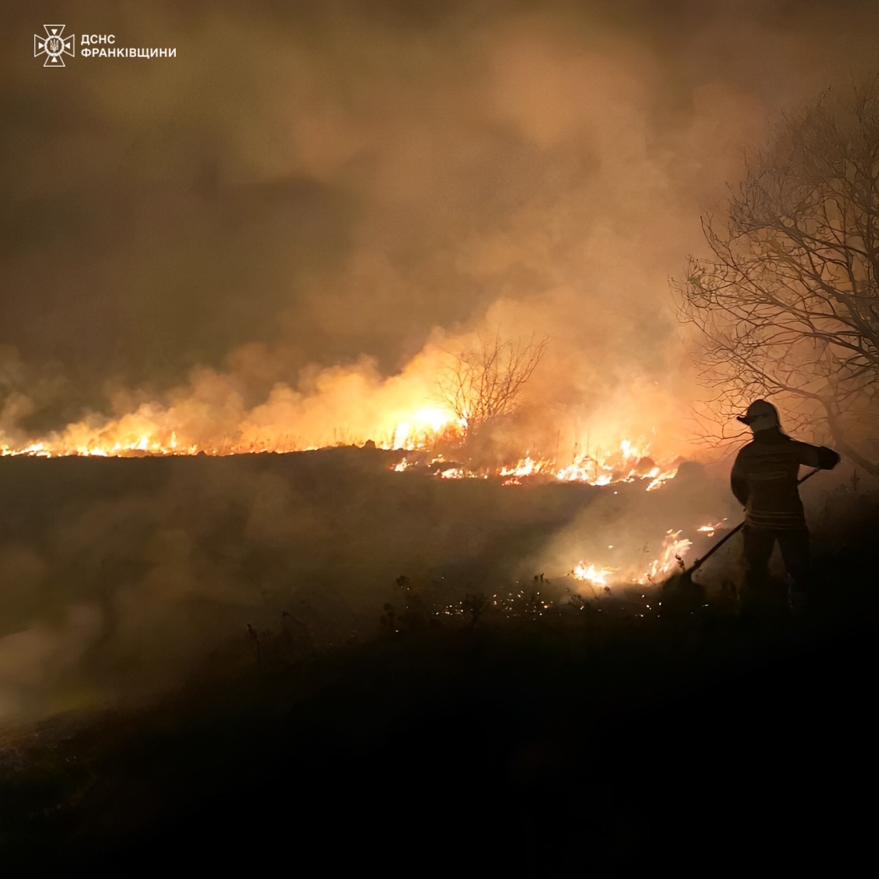 Минулої доби на Прикарпатті трапилося 33 пожежі сухої трави: чотирьох паліїв впіймали (ФОТО)