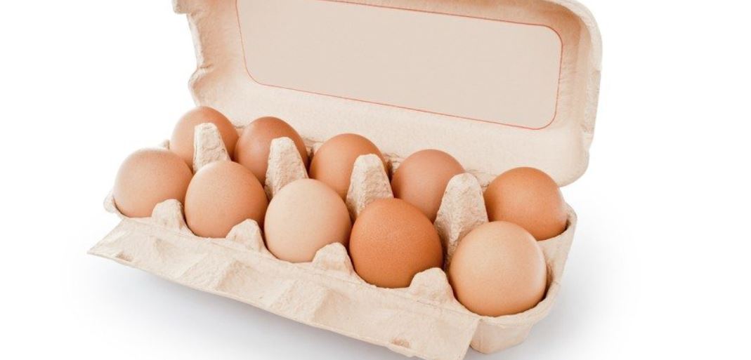 Не задорого, а з помилкою: у Тлумачі пояснили, що місцевий ліцей не купляв яйця по 11 гривень (ЛИСТ)