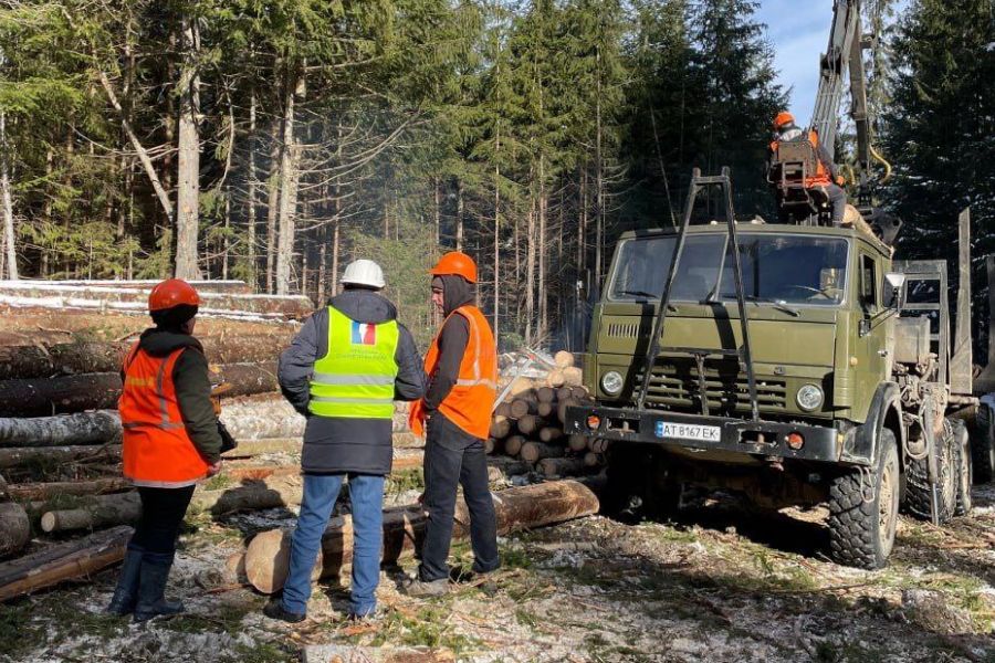 Агенти УЕБ здійснили контроль відвантаження реалізованої необробленої деревини покупцеві на Івано-Франківщині