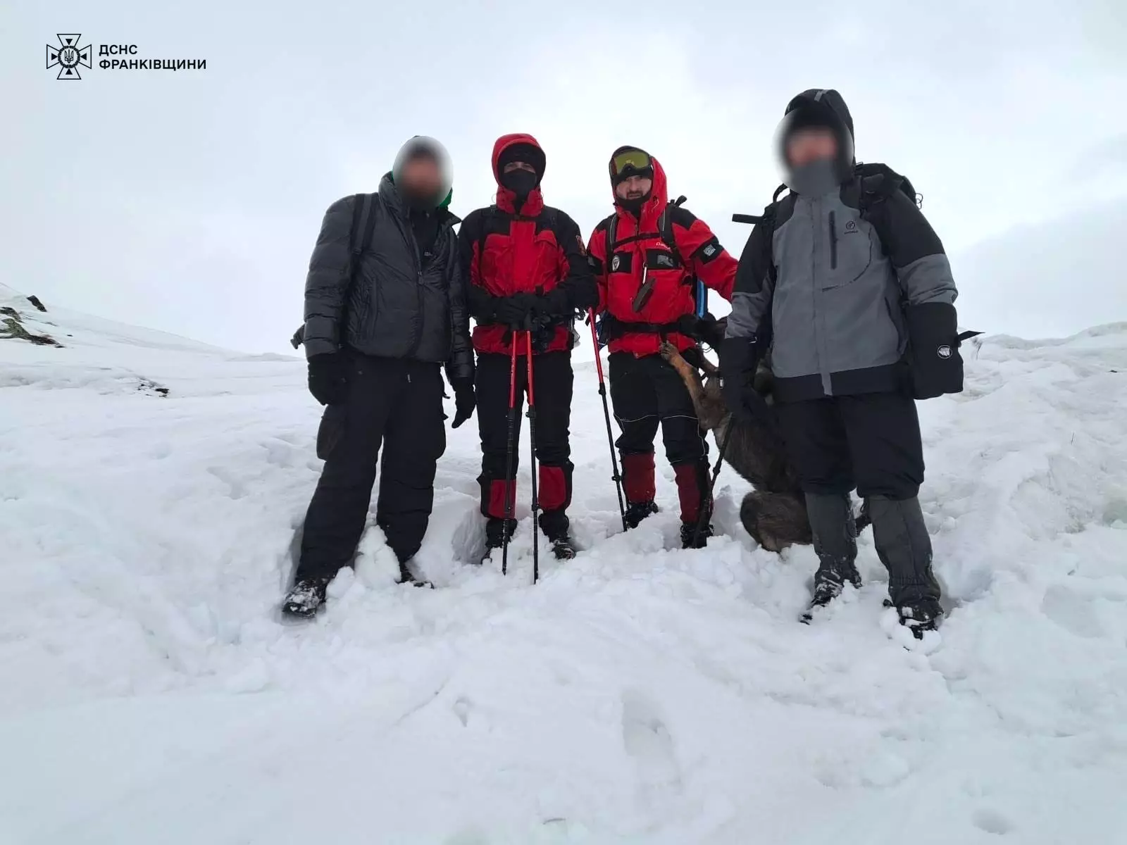 У Карпатах розшукали двох туристів, які заблукали