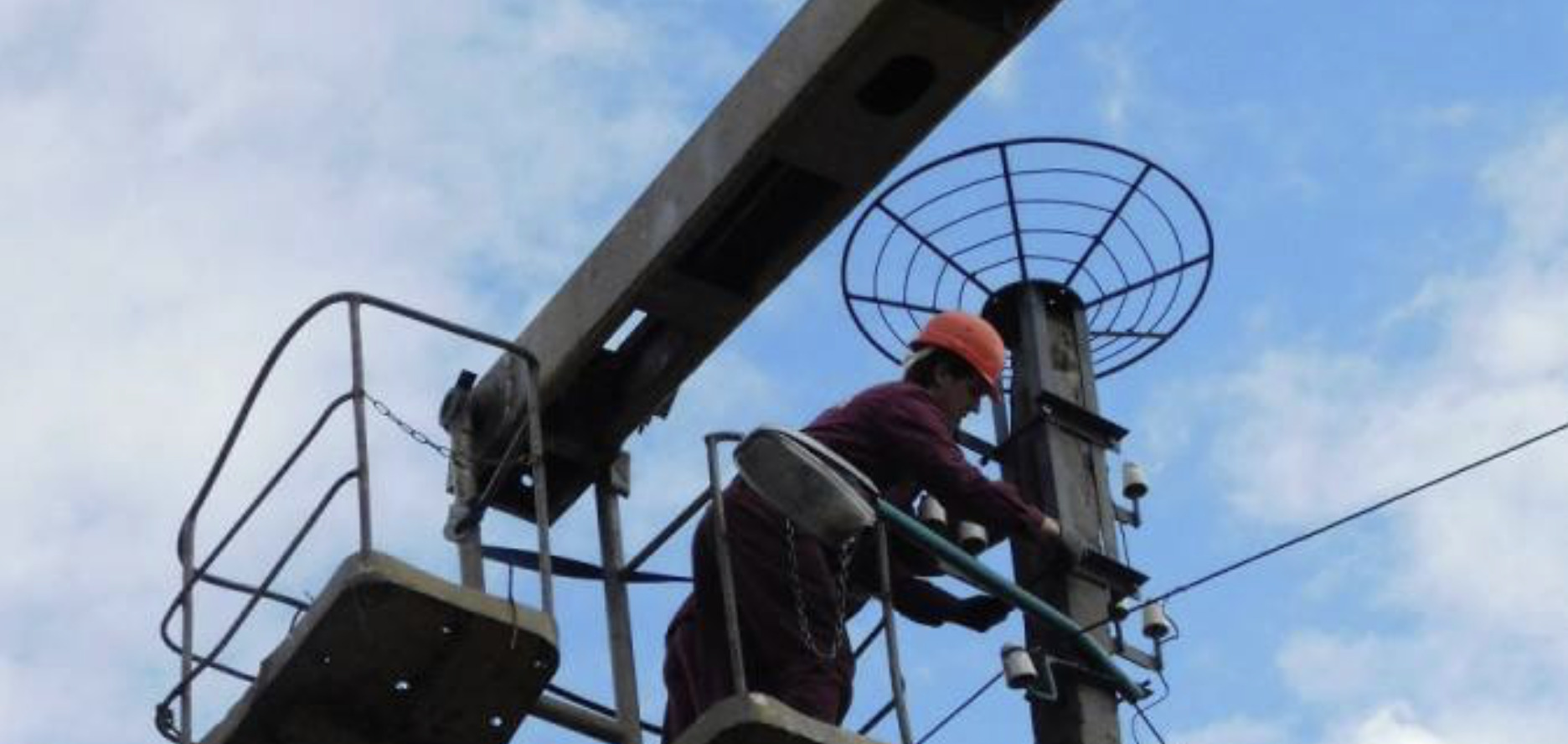 Прикарпатські енергетики облаштують 95 платформ для гнізд лелек на електроопорах