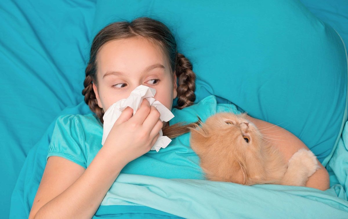 Алергія на котів у дітей: профілактика та поради для батьків