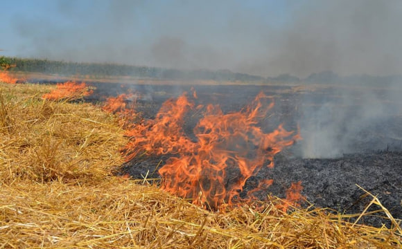 За день на Прикарпатті трапилося шість пожеж сухої трави (ФОТО, ВІДЕО)