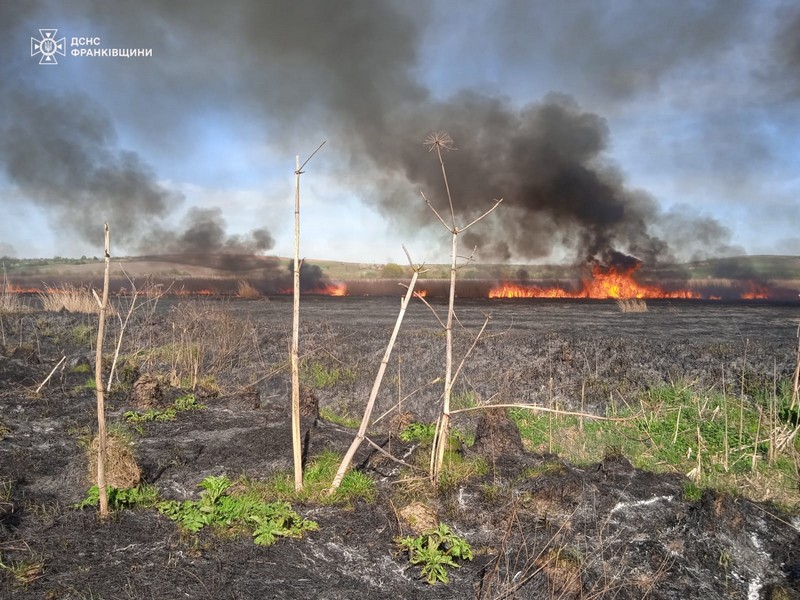 Горів ліс й ще одне сміттєзвалище: за добу на Прикарпатті загасили вогонь на п’яти гектарах (ФОТО)