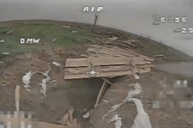 Прикарпатські «едельвейси» показали, як полюють на росіян дронами (ВІДЕО)