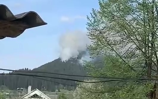 Масштабну пожежу в микуличинському лісі вогнеборці ліквідовували 5 годин (ВІДЕО)