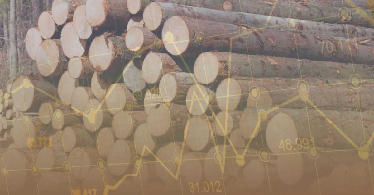 Деревообробники Прикарпаття підтримують вдосконалення організації біржової торгівлі