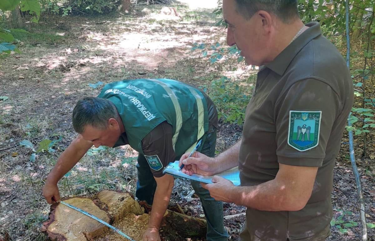 Неподалік Єзуполя виявили незаконну порубку дерев на понад 720 тисяч (ФОТО)