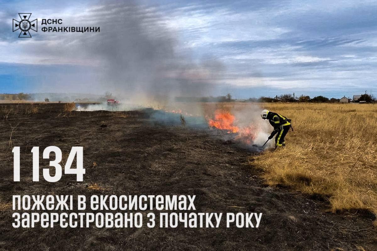 З початку року на Прикарпатті склали 155 протоколів на паліїв сухостою