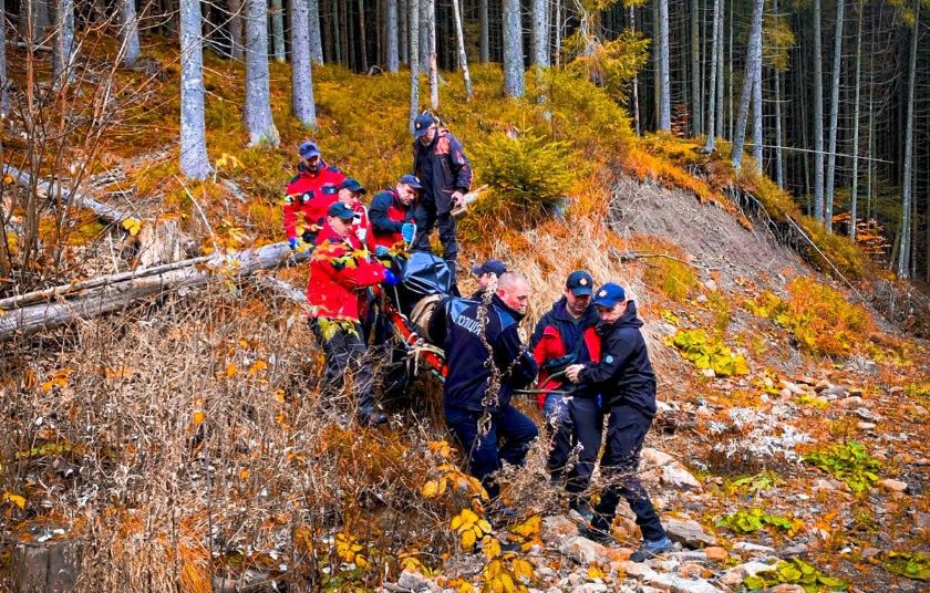 На Прикарпатті у лісі заблукали двоє грибників, один з них помер (ФОТО)