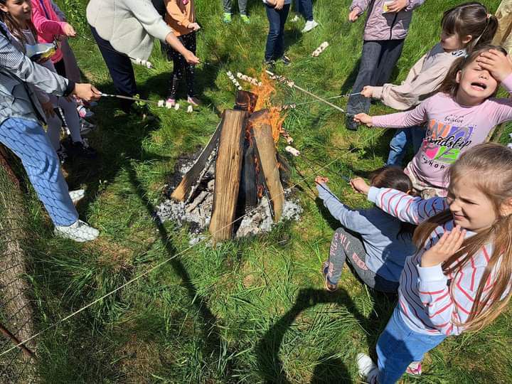 Методика «Цілющий ліс» у школах Прикарпаття: підтримка психологічної стійкості дітей під час війни