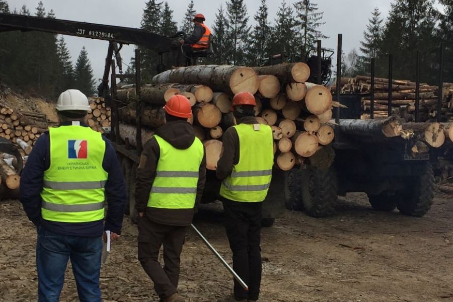 УЕБ контролює передачу реалізованої на торгах необробленої деревини покупцеві