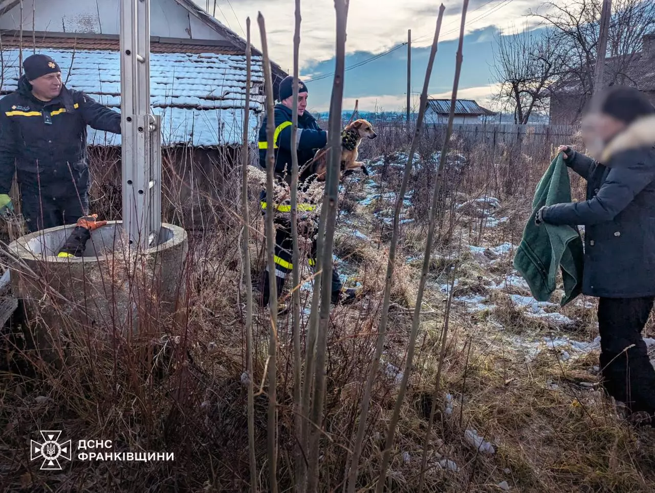 На Коломийщині рятувальники дістали з колодязя собаку (ФОТО)