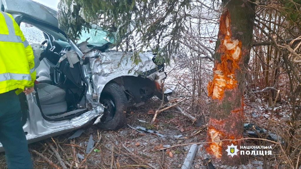 На Коломийщині водій у стані сп'яніння врізався у дерево (ФОТО)