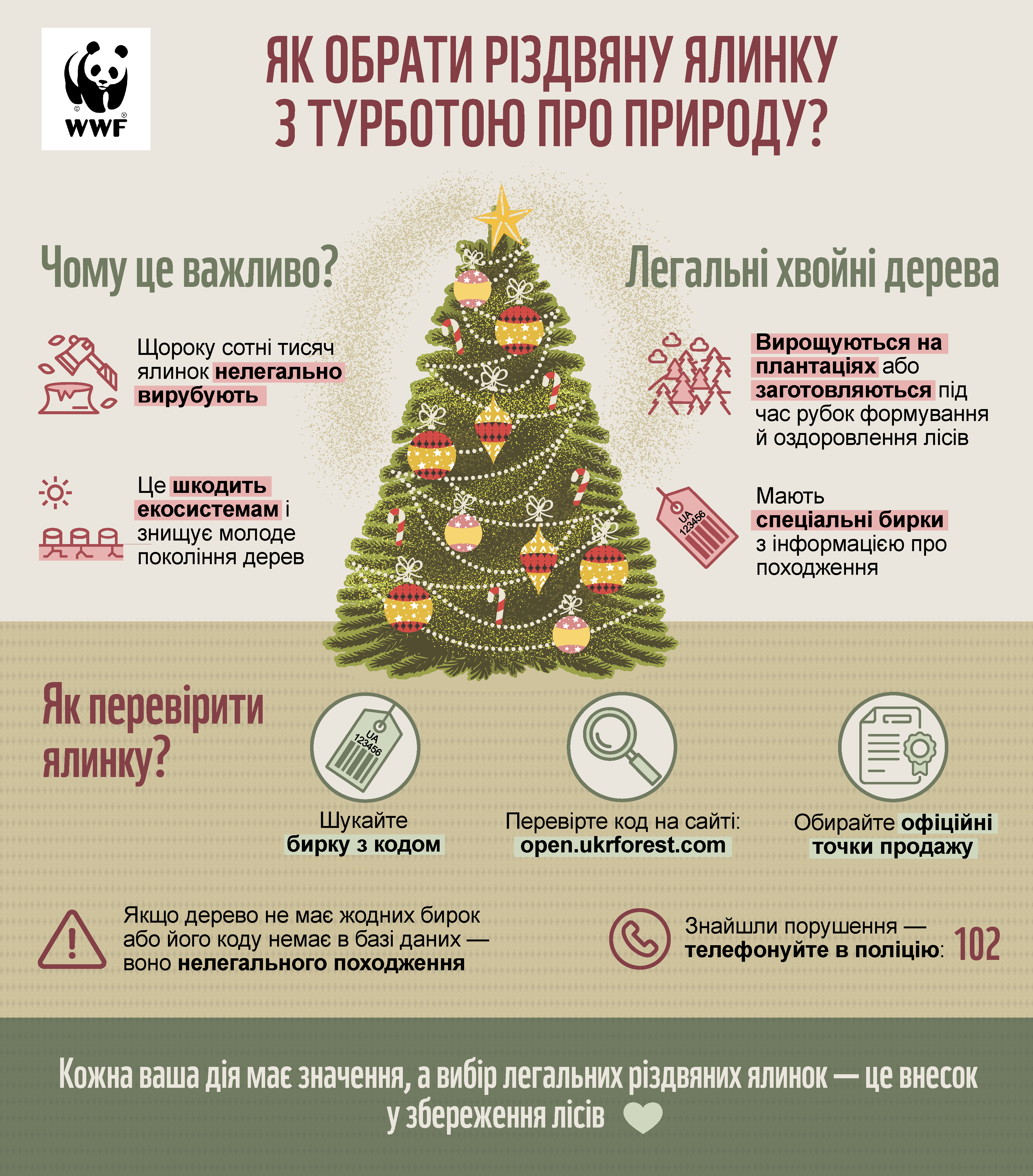 Як обрати різдвяну ялинку з турботою про природу – рекомендує WWF-Україна