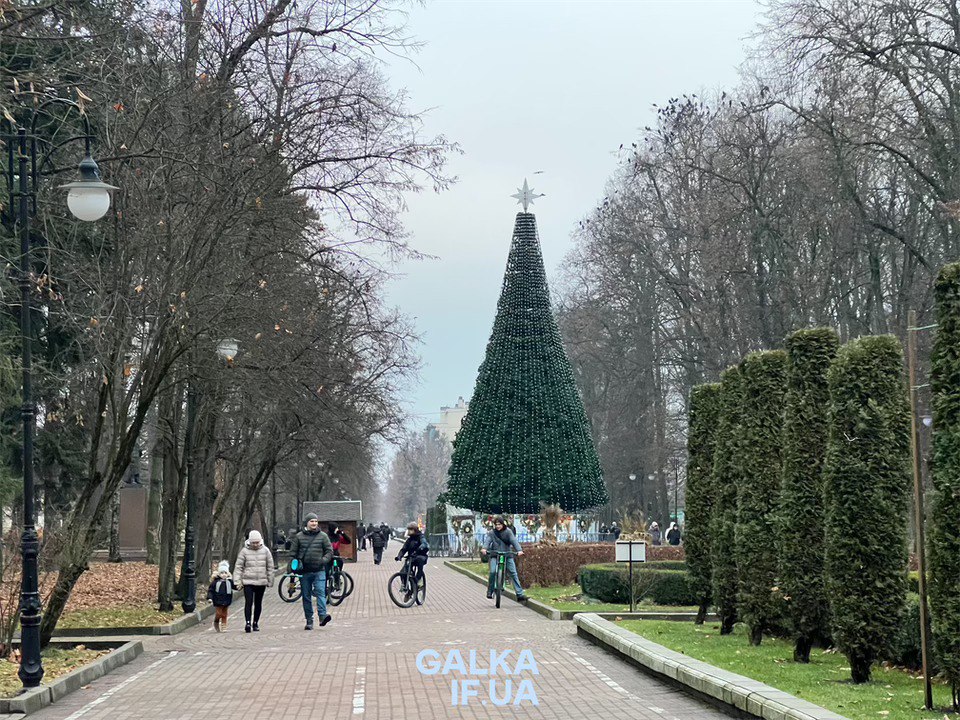 Стало відомо, коли засяє головна ялинка Франківська