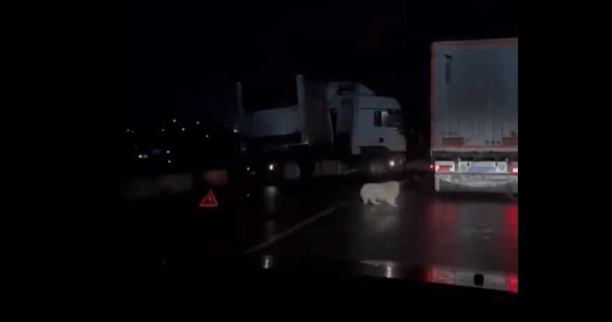 Фура ледь не перекинулась з моста у Вістовій на Калущині (ВІДЕО)