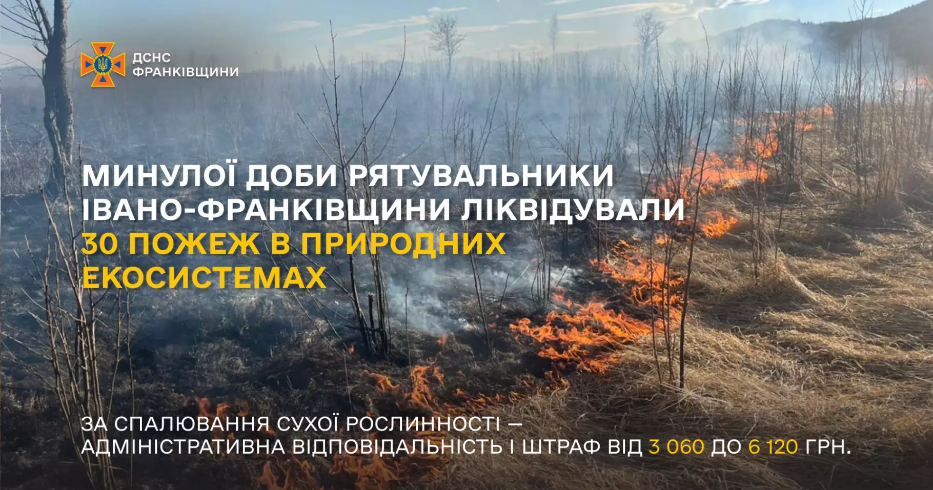 За день на Прикарпатті трапилось 30 пожеж сухої трави