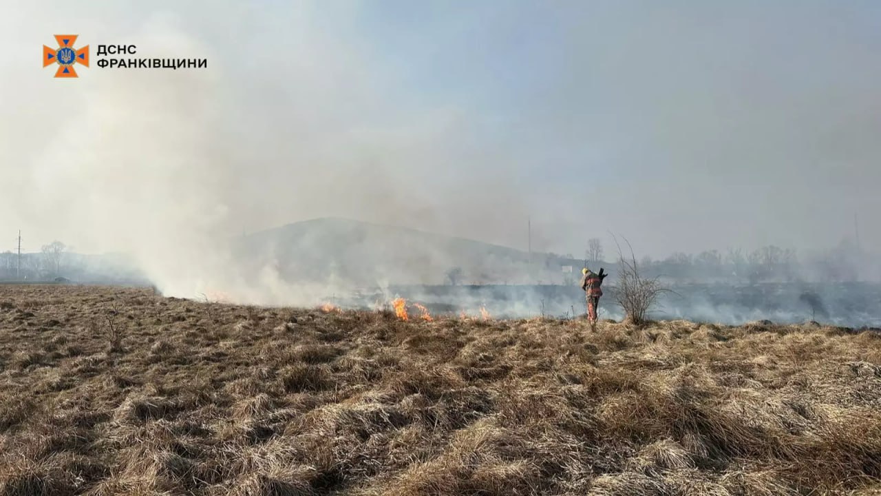 Вигоріло понад 19 гектарів землі: на Прикарпатті цьогоріч вже сталося 346 пожеж сухої трави (ВІДЕО)