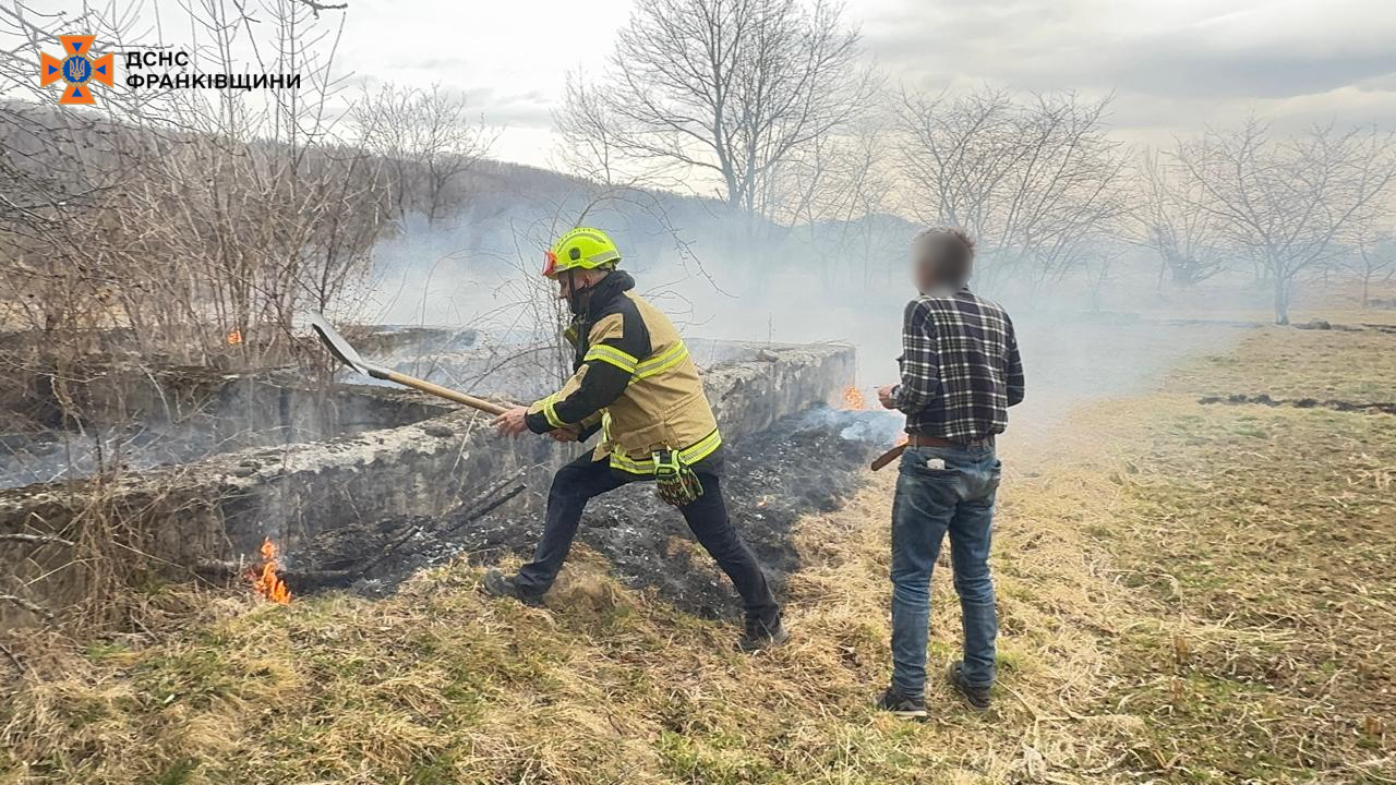 Ліс горить: на Прикарпатті рятувальники гасять вогонь у трьох районах області