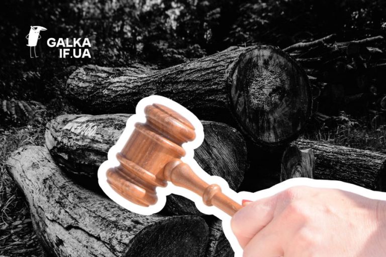 На Прикарпатті чоловік незаконно зрубав дерева на понад 100 тисяч гривень