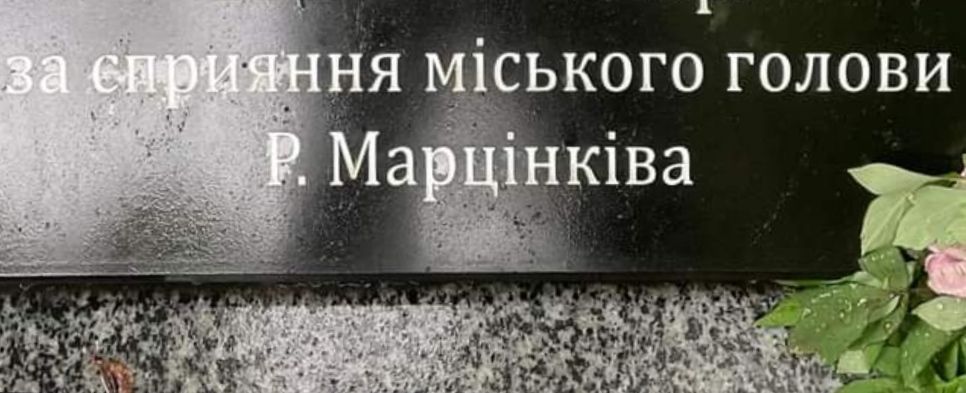 “Нехай сонце спалить тих, хто підписав акт зрізки”: як франківці відреагували на знищену грушку на Галицькій
