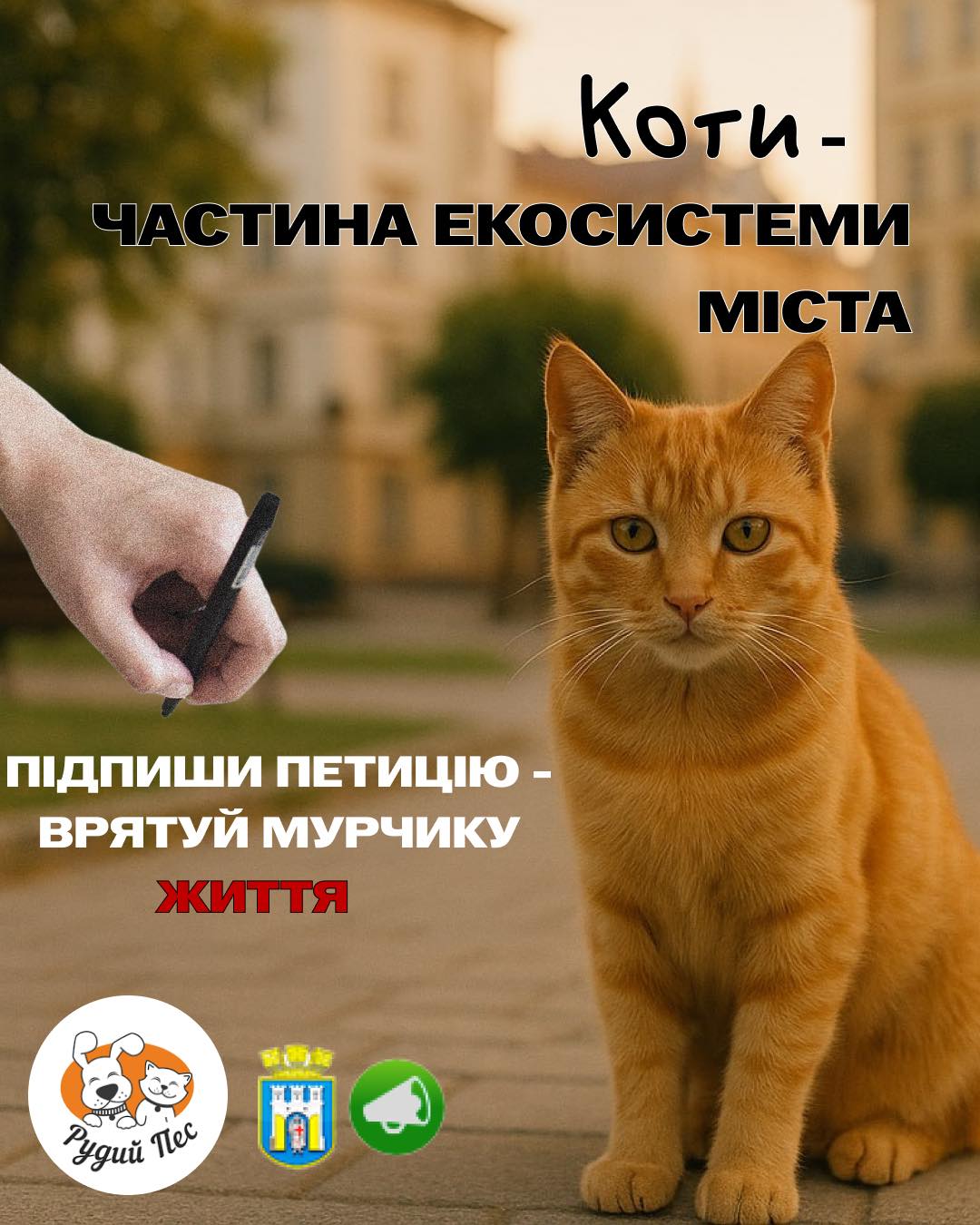 Франківські активісти закликають підтримати петицію щодо визнання котів частиною міської екосистеми