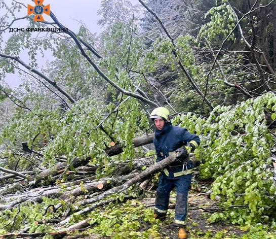 На Косівщині через негоду впало дерево та перегородило дорогу (ФОТО)