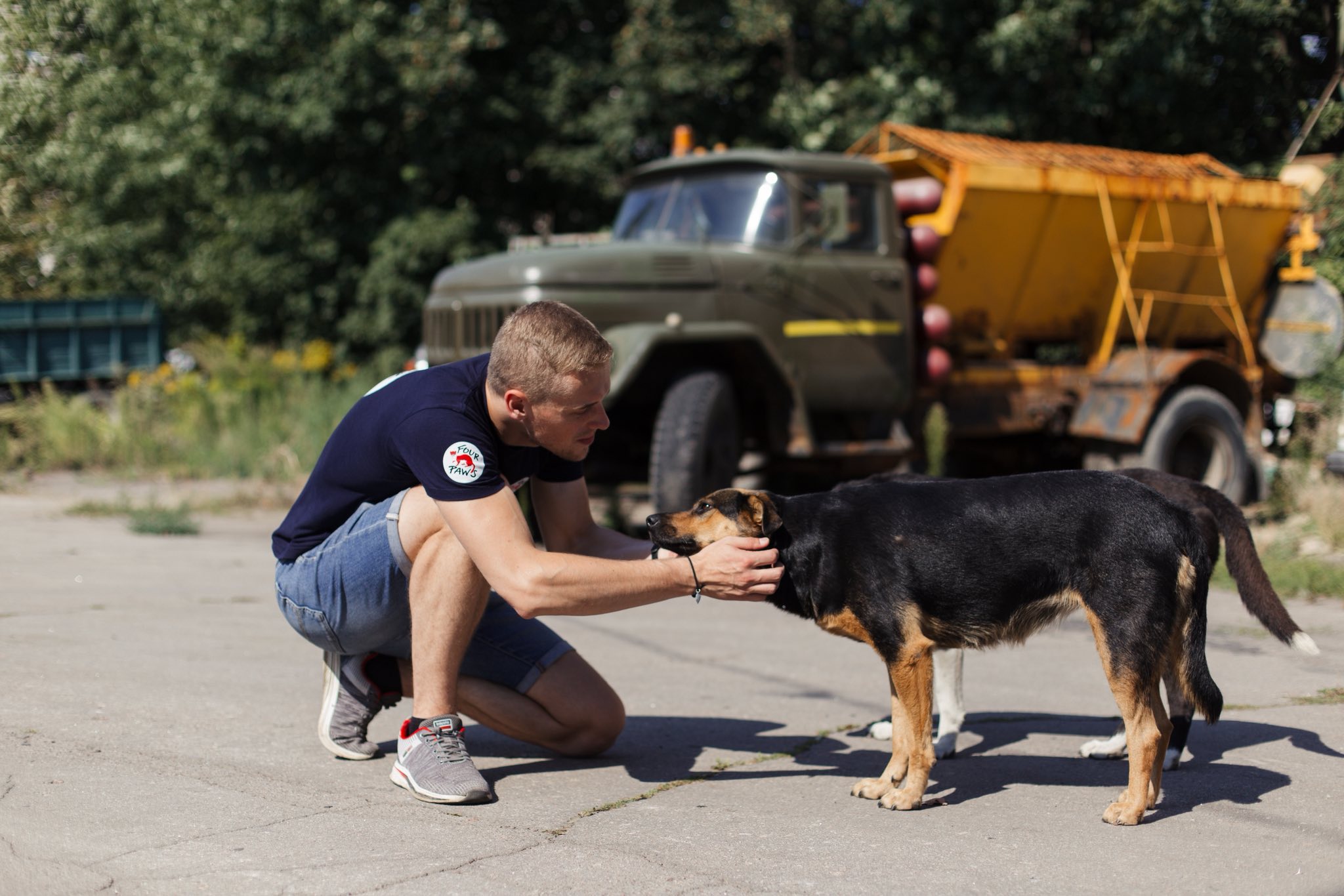 У Снятині проведуть безкоштовну вакцинацію і стерилізацію кішок та собак (ДЕТАЛІ)