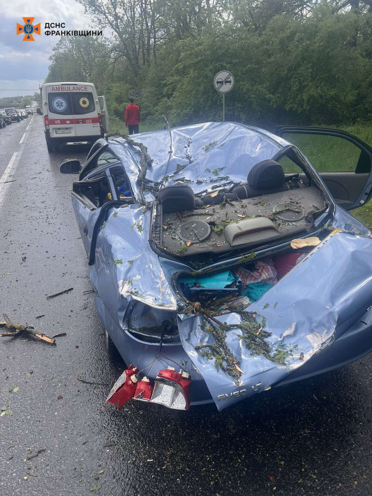 Повалені дерева, понівечене авто і травмована жінка: негода накрила Прикарпаття