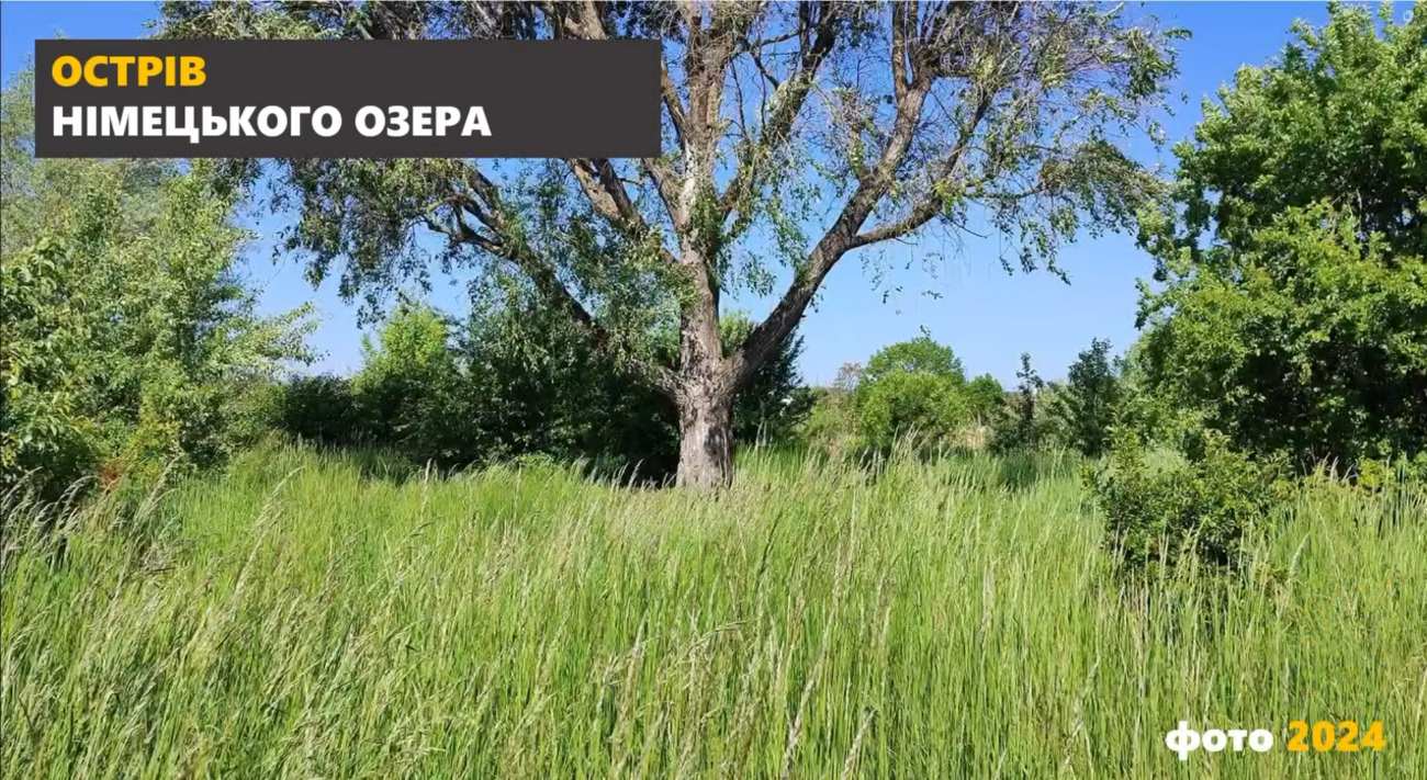 “Нескошене — не означає не доглянуте”: у парку розповіли про концепцію утримання рекреаційних просторів