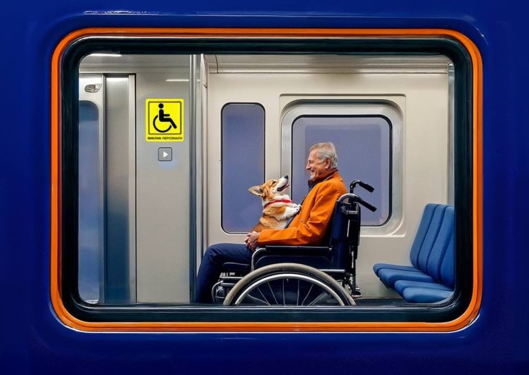 Вокзали Франківська, Яремче, Коломиї та Татарова увійшли до списку доступних для маломобільних