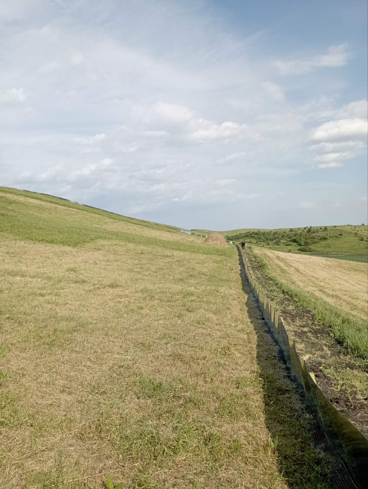 На Касовій горі відновлюють популяції зникаючих ховрахів та хом’яків (ФОТО)