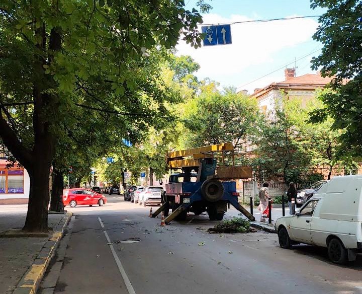 У Франківську на вулиці Франка обрізають дерева: можливі затори (ФОТО)