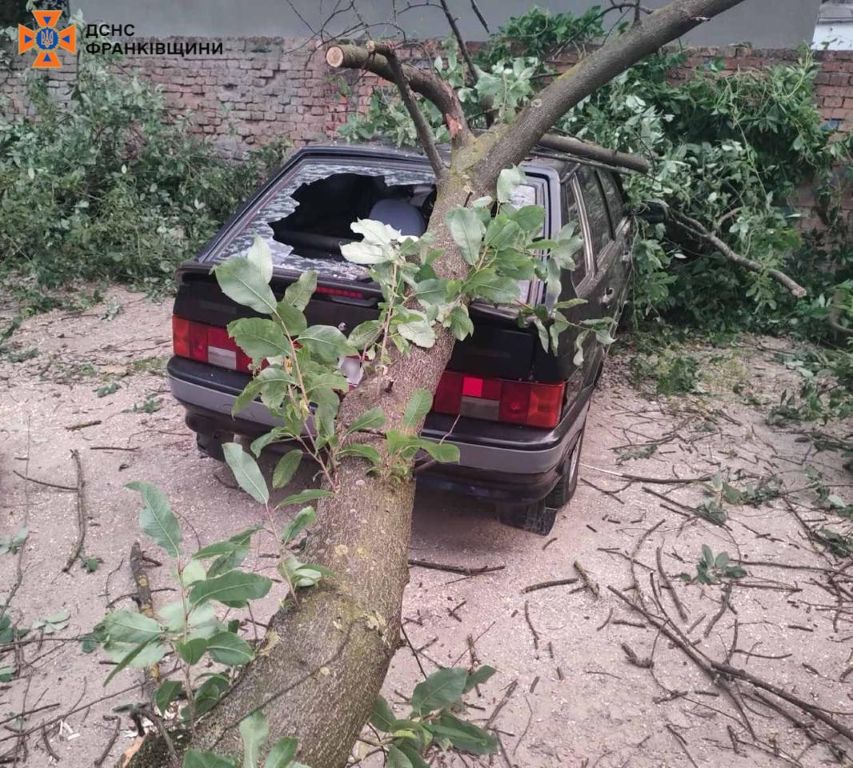 Повалені дерева, пошкоджені покрівлі та авто: рятувальники ліквідували наслідки негоди на Прикарпатті