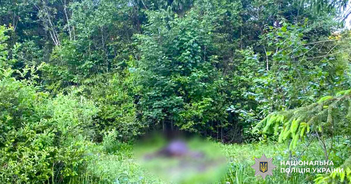 Застрелив коня на пасовищі: на Надвірнянщині шукають стрільця з рушницею (ФОТОФАКТ)