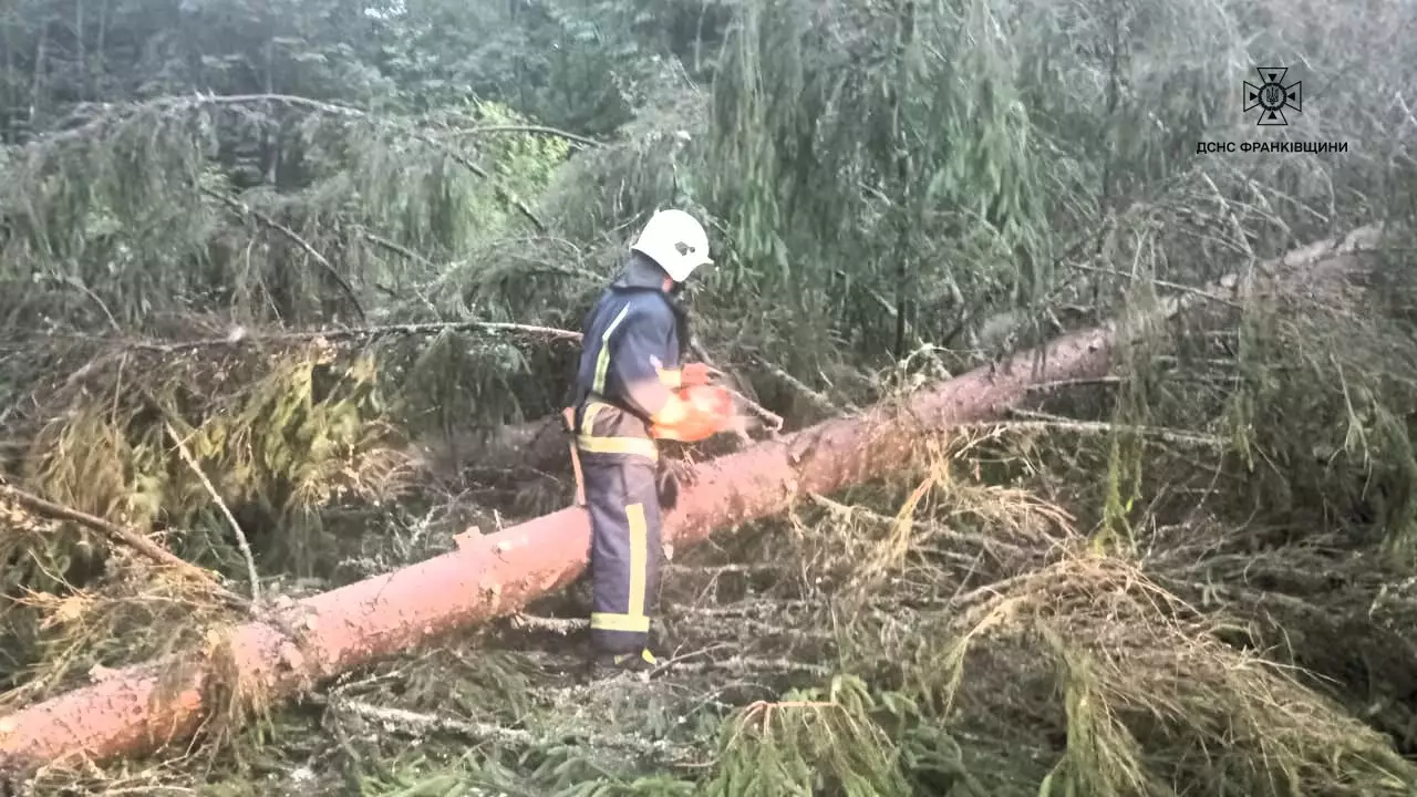 На Прикарпатті 41 населений пункт залишився без світла через негоду (ФОТО)