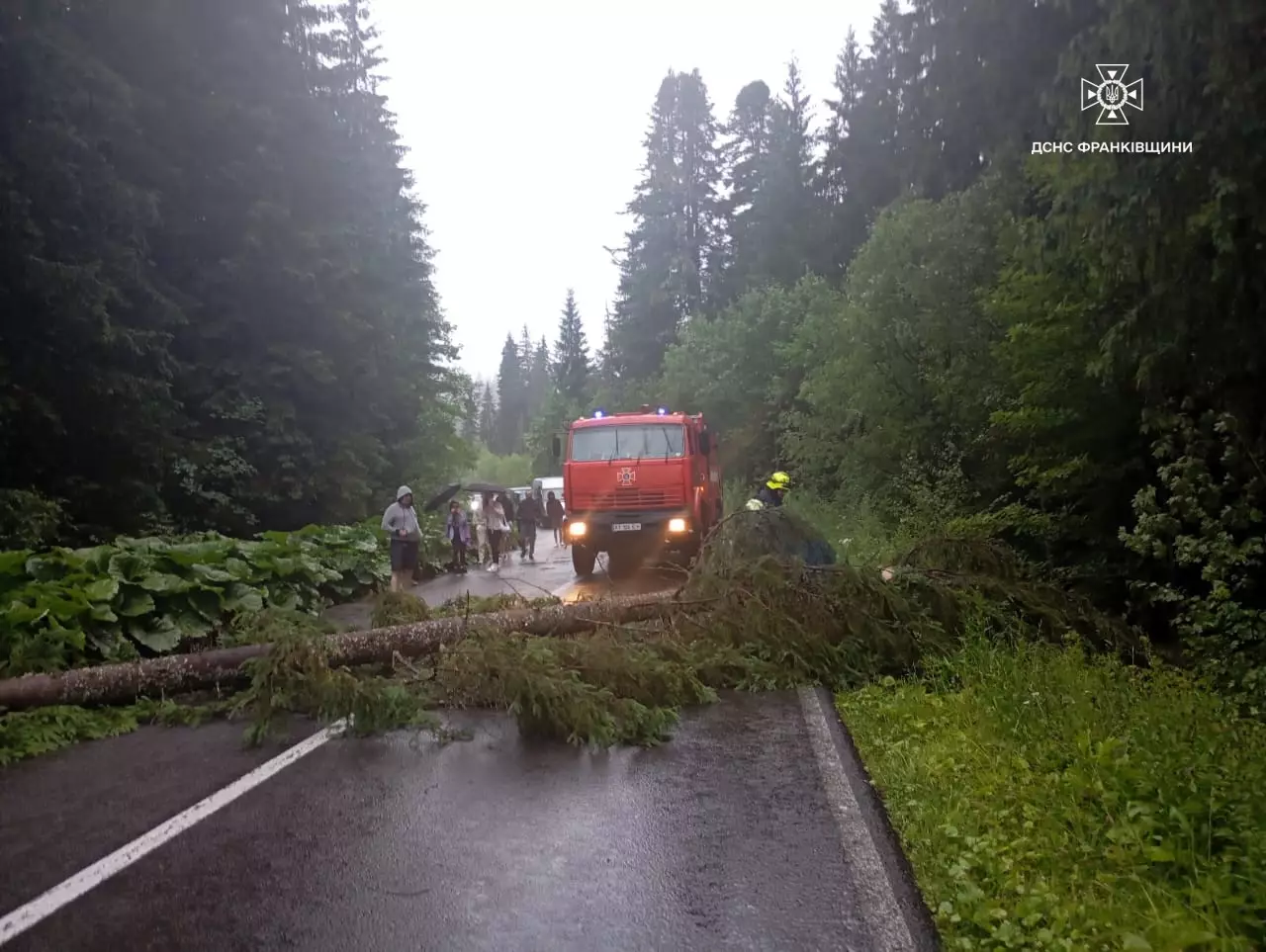 На Прикарпатті 41 населений пункт залишився без світла через негоду (ФОТО)