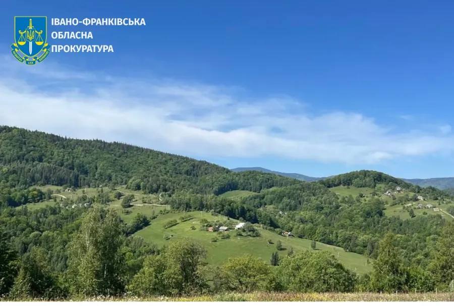 Майстра лісу судитимуть за незаконну вирубку дерев на понад 25 мільйонів гривень (ФОТО)