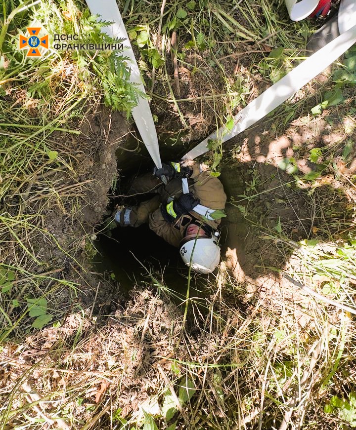 У Ямницькій громаді рятувальники з колодязя витягли корову (ФОТО)