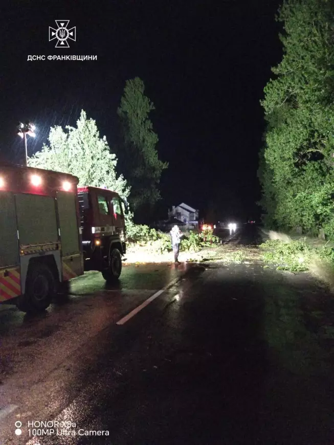 Рятувальники різали повалені дерева та відновлювали рух після негоди на Прикарпатті (ФОТО)