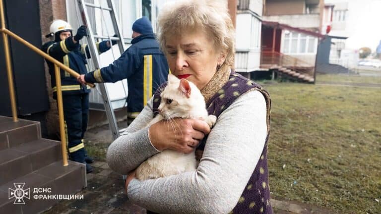 У Калуші рятувальники зняли з даху кішку Шпульку, яка випала з п’ятого поверху (ВІДЕО, ФОТО)