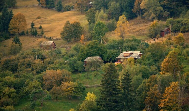 Від 1 до 5 тисяч євро підтримки: у Карпатах обрали 21 переможця Програми мінігрантів для громад